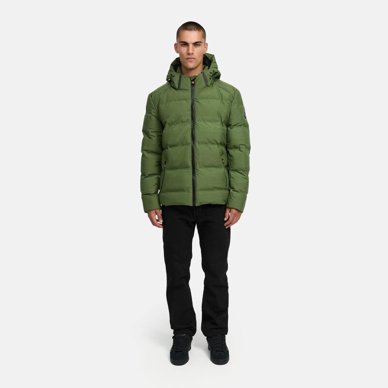 Stone Harbour Gavriloo Herren Herbst Winter Steppjacke B770 Pine Oilve Größe S - Gr. S