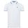 U.S. POLO ASSN. Herren Poloshirt Shortsleeve P040 Weiss-Royal-Größe XXL - Gr. 2XL
