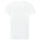 U.S. POLO ASSN. Herren T-Shirt Crewneck rundhals 2er Pack P056 Weiss & Weiss  Größe M - Gr.M