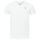 U.S. POLO ASSN. Herren T-Shirt V-Neck 2er Pack P057 Weiss & Weiss  Größe M - Gr.M